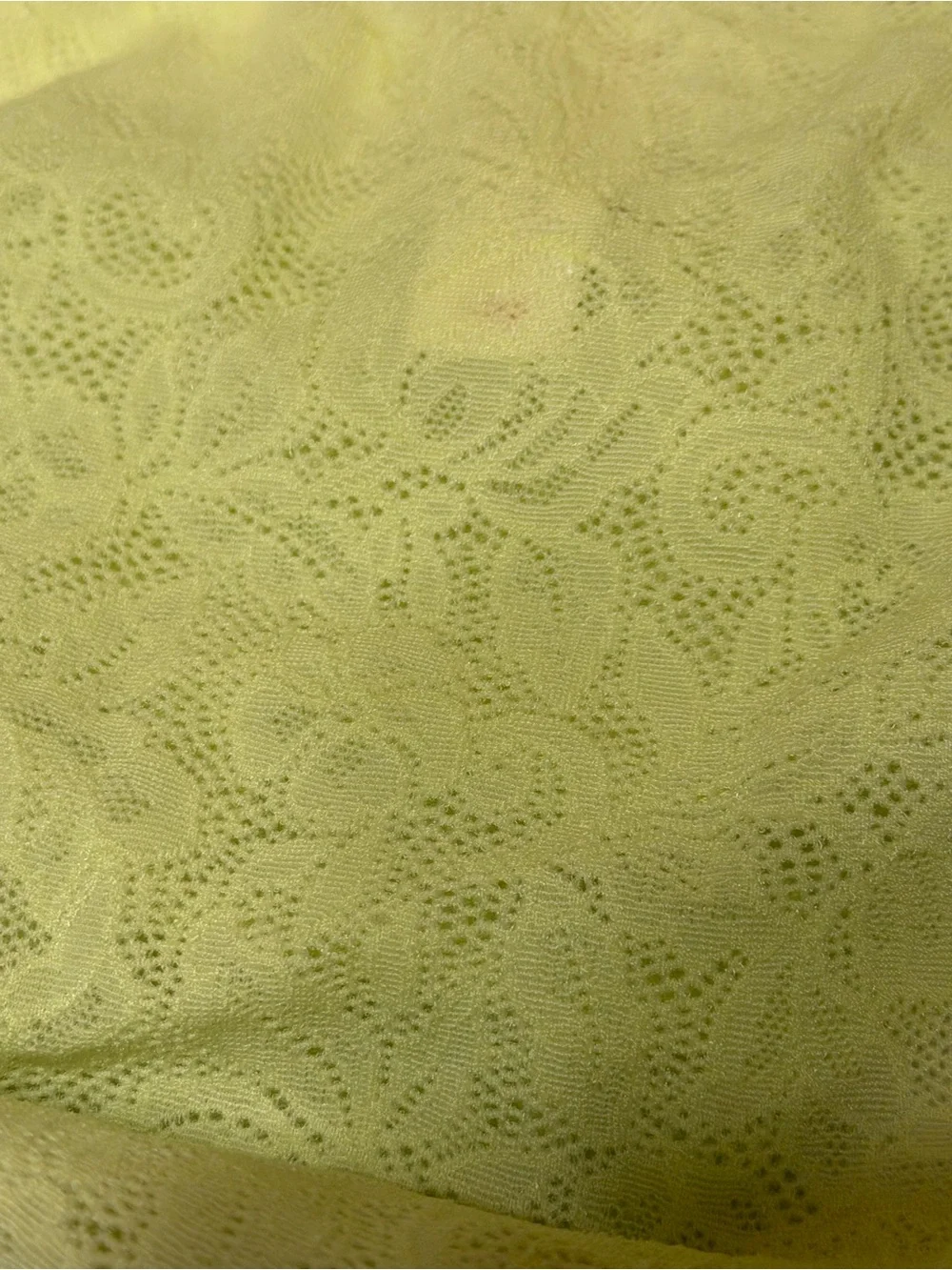 Cacique Lace Back Bikini Panties in Lime Green